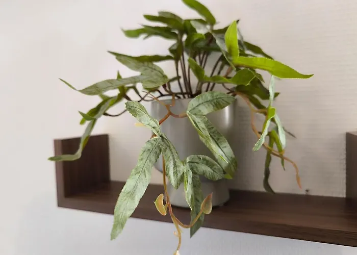 Le Cocon Foch Premium - Lumineux - Centre - Proche Gare *